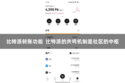 比特派转账功能  比特派的共鸣机制是社区的中枢